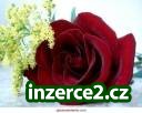 234298_1.jpg