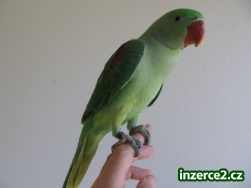 234676_1.jpg