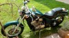 Honda VT 600 C Shadow 234964_t.jpg