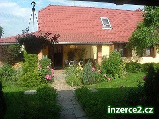 Hlídání, stříhání, koupání Vašich psích i kočičích mazlíčků_1 235982_1.jpg