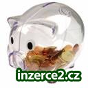 PRÁCE, KTERÁ BAVÍ_1 236217_1.jpg