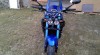 236906_t.jpg