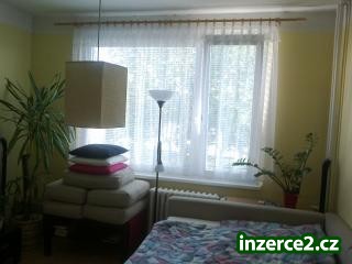 Pronájem bytu 1+1, Palachova, Hradec Králové_2 237201_2.jpg
