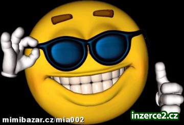 Přivýdělek,který stojí za to vyzkoušet_1 239773_1.jpg