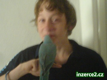 239836_2.jpg