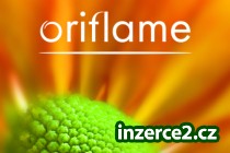 Kdo nic nedělá nic nemá_1 241259_1.jpg