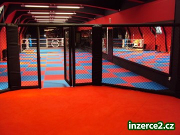 Pronájem tělocvičny, ringu a klece MMA v centru Prahy_1 241390_1.jpg