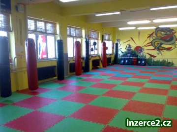 Pronájem tělocvičny, ringu a klece MMA v centru Prahy_2 241390_2.jpg