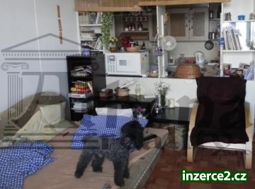 Slunný byt 1+kk s lodžií v žádané lokalitě_2 248127_2.jpg