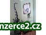 252343_2.jpg