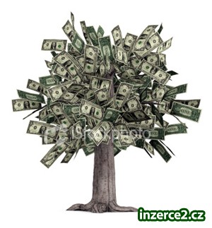 Leasing nemovitostí a vybavení._2 253149_2.jpg