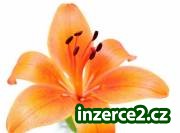 Pracujte za opravdové peníze_1 254255_1.jpg