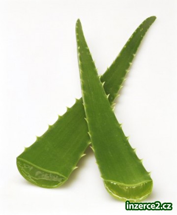 Detoxikace organismu_1 254530_1.jpg