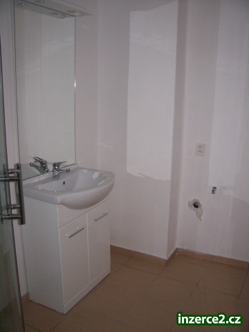 Pronájem_2 255335_2.jpg