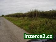 257430_1.jpg