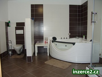 společnice, tanečnice_2 258863_2.jpg