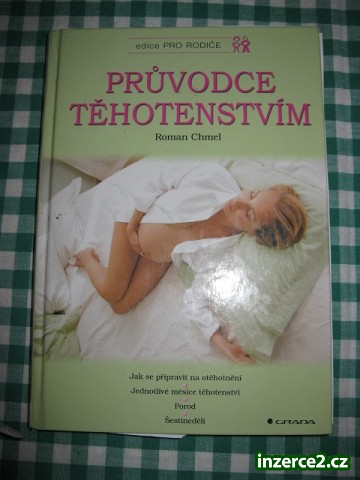 prodám_2 259100_2.jpg
