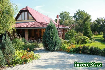Hlídání, stříhání, koupání Vašich psích i kočičích mazlíčků_1 259883_1.jpg