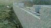260129_t.jpg