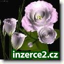 Snadný příjem z domu_1 260683_1.jpg
