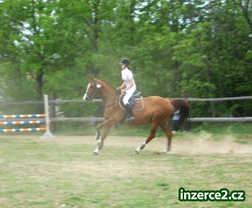 Valach Angelo_1 261198_1.jpg