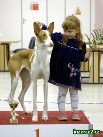 262162_2.jpg