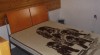 Prodám postel 265752_t.jpg