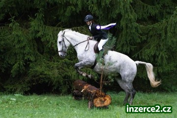 hledám práci_2 266133_2.jpg