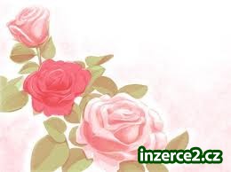 Práce z domu pro každého_1 267356_1.jpg