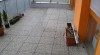 270303_t.jpg