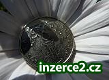 Přivýdělky na internetu_1 271839_1.jpg