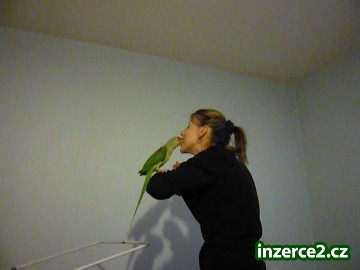 275245_1.jpg