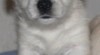 276888_t.jpg