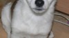 277052_t.jpg