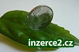 Jak jste na tom s internetem?_1 277741_1.jpg