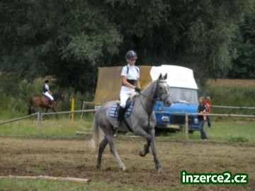 5letý šiml A1/1_2 27856_2.jpg