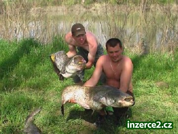 Služby rybářského průvodce na řece PO v Itálii_2 278906_2.jpg
