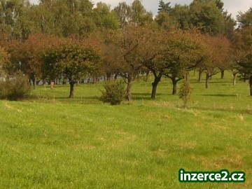 Prodej stavebního pozemku v obci Nová Starost(Rynoltice)_1 279289_1.jpg