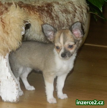 CIVAVA_2 279917_2.jpg