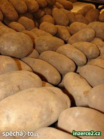 brambory v kvalitě bio větší množství rozvoz od jednoho pytle_1 280090_1.jpg