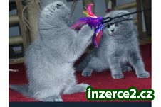 287710_1.jpg