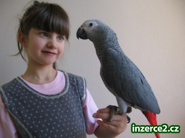 Žako_1 288308_1.jpg