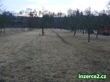 prodej R.D._1 288414_1.jpg