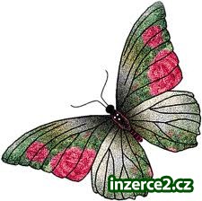 Vydělejte si peníze z domu_1 295135_1.jpg