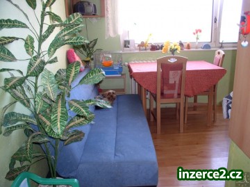 Prodej bytu 1+1 Olomouc, U cukrovaru_1 297000_1.jpg
