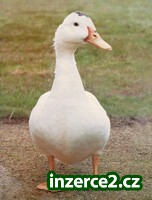 306290_1.jpg
