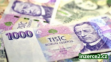 Práce manuální i přes internet z domova na smlouvu._1 315449_1.jpg