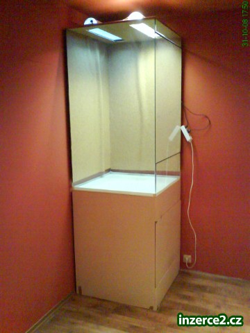 31706_1.jpg