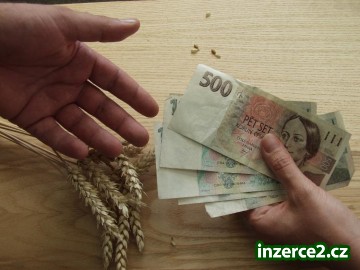 Peníze ještě dnes!!_1 317774_1.jpg