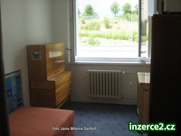 Brno-spolubydlící._2 322386_2.jpg